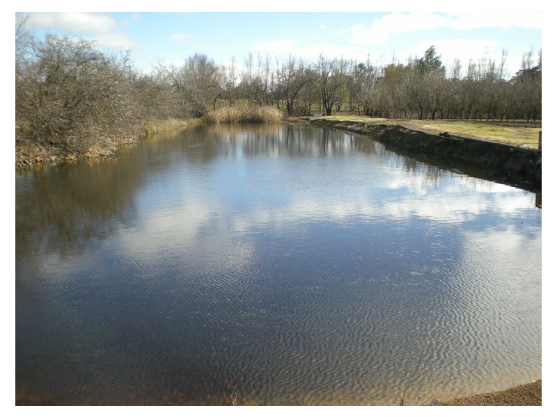 53 Shepherd Road, Orange NSW 2800