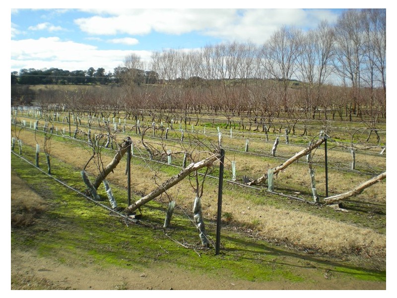 53 Shepherd Road, Orange NSW 2800