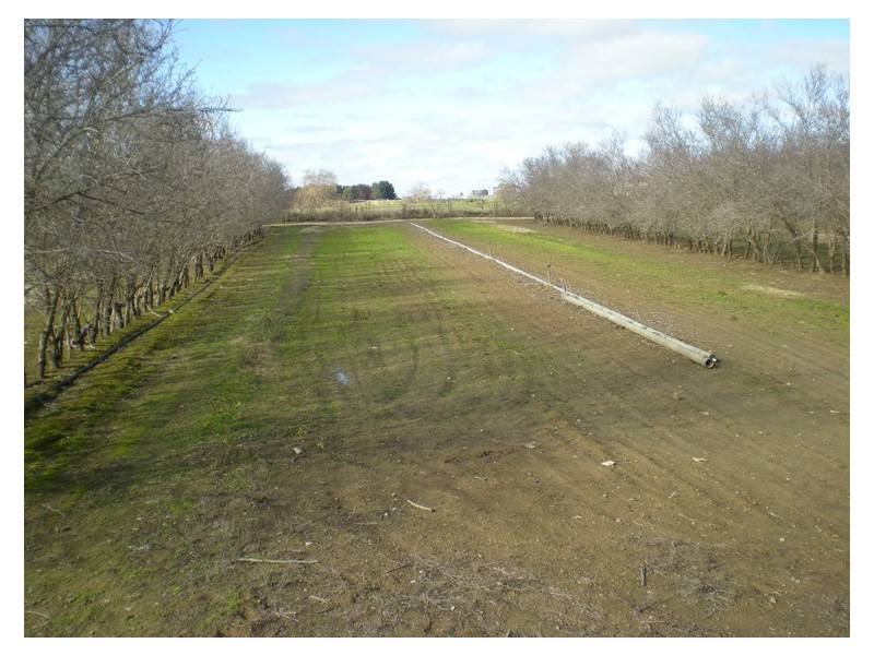 53 Shepherd Road, Orange NSW 2800