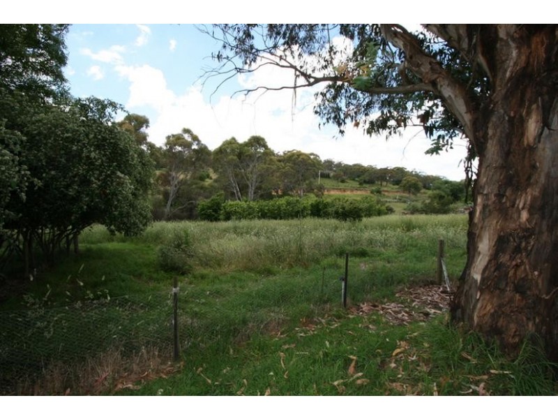 46 Shadforth Drive, Shadforth NSW 2800