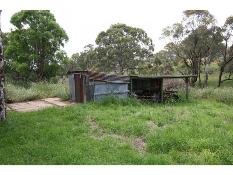 46 Shadforth Drive, Shadforth NSW 2800