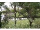 46 Shadforth Drive, Shadforth NSW 2800