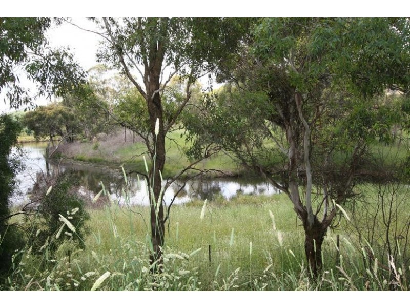 46 Shadforth Drive, Shadforth NSW 2800