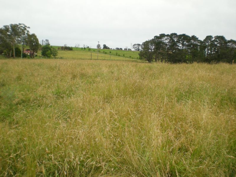 Lot 21, – Beasley Road, Lucknow NSW 2800