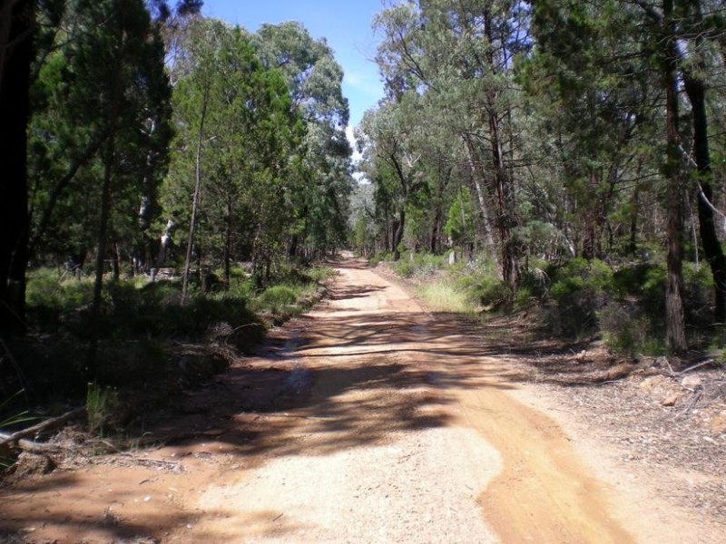 - Healy’s Lane, Manildra NSW 2865