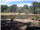 - Healy’s Lane, Manildra NSW 2865