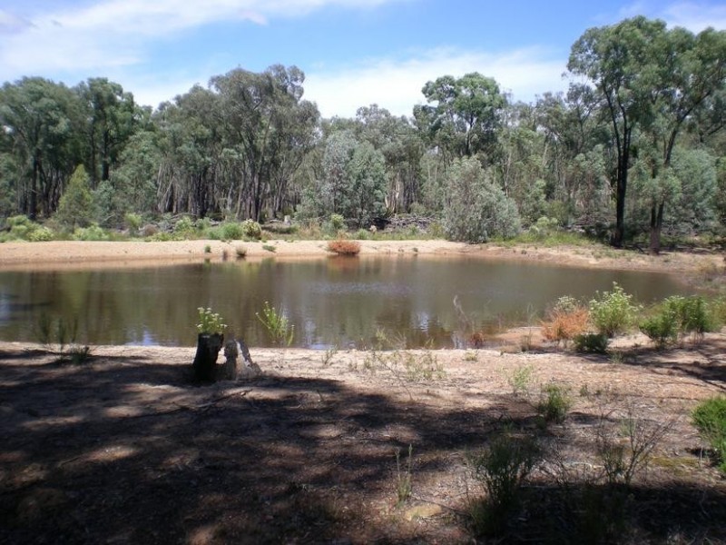 - Healy’s Lane, Manildra NSW 2865