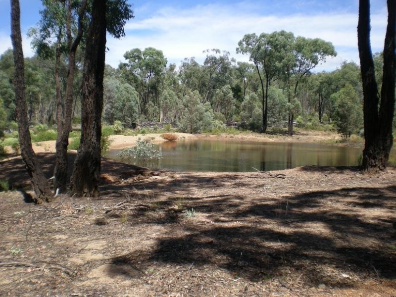 - Healy’s Lane, Manildra NSW 2865