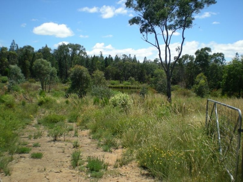 - Healy’s Lane, Manildra NSW 2865