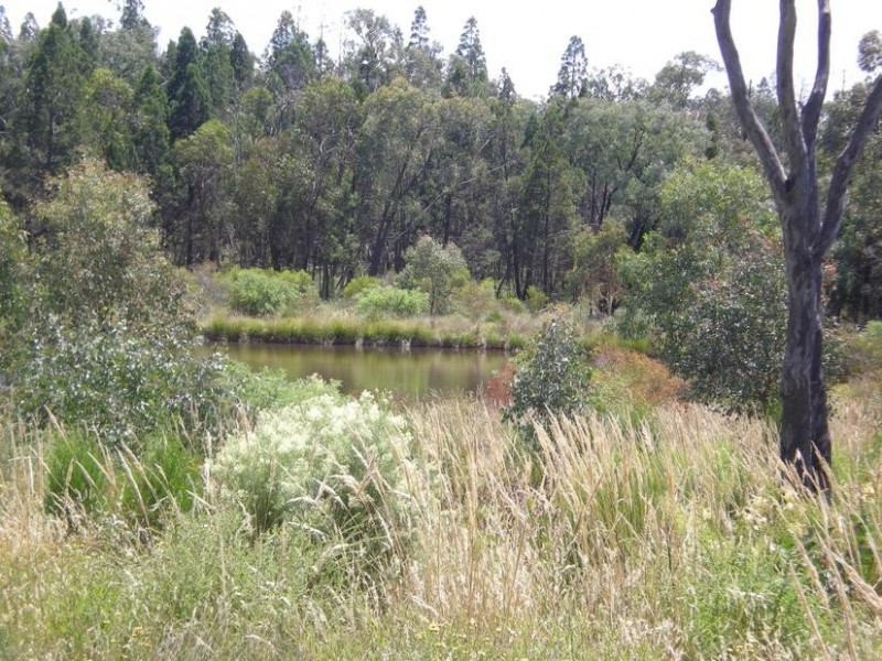 - Healy’s Lane, Manildra NSW 2865