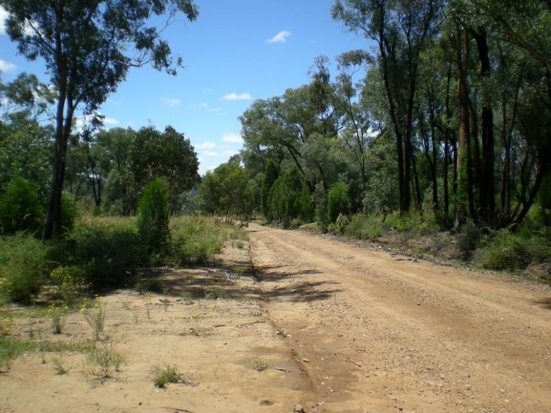 - Healy’s Lane, Manildra NSW 2865