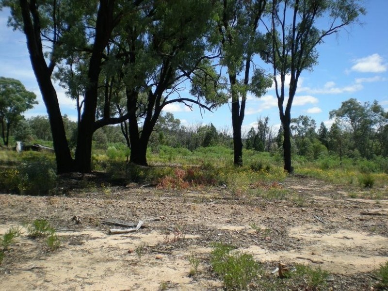 - Healy’s Lane, Manildra NSW 2865