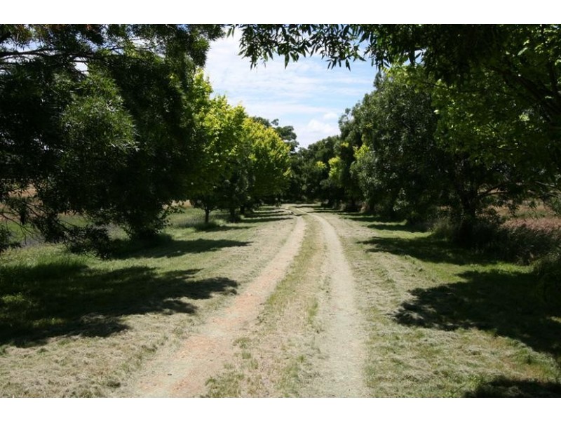 276 Beasley Road, Orange NSW 2800