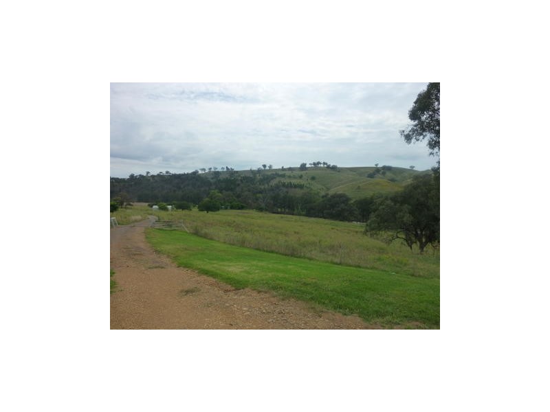 00 Wellington Rd, Molong NSW 2866