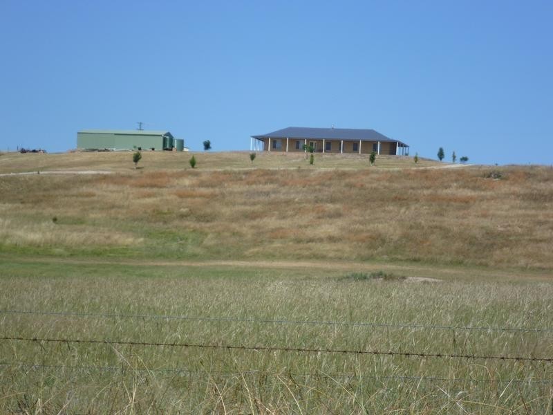 2154 Euchareena Road, Molong NSW 2866