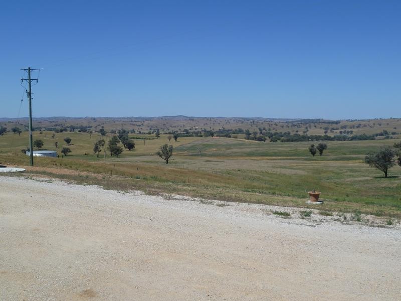 2154 Euchareena Road, Molong NSW 2866