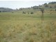 - Mitchell Highway, Lucknow, Orange NSW 2800