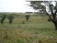 - Mitchell Highway, Lucknow, Orange NSW 2800