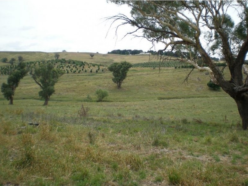 - Mitchell Highway, Lucknow, Orange NSW 2800