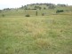 - Mitchell Highway, Lucknow, Orange NSW 2800