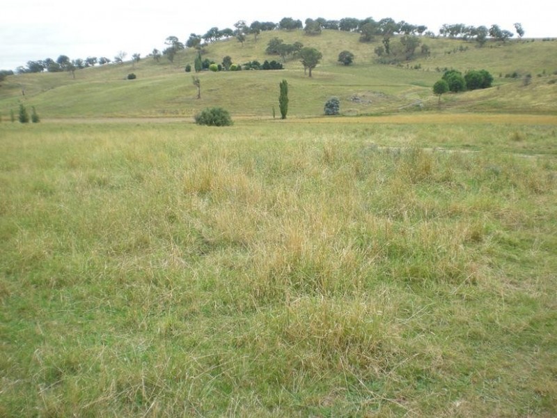 - Mitchell Highway, Lucknow, Orange NSW 2800