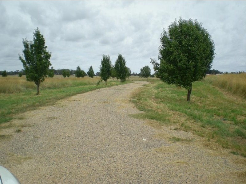 Lot 2, – Whiley Road, Millthorpe, Orange NSW 2800