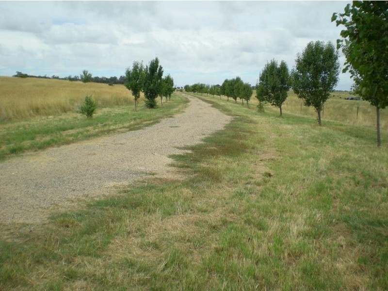 Lot 2, – Whiley Road, Millthorpe, Orange NSW 2800