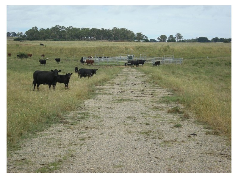 Lot 2, – Whiley Road, Millthorpe, Orange NSW 2800