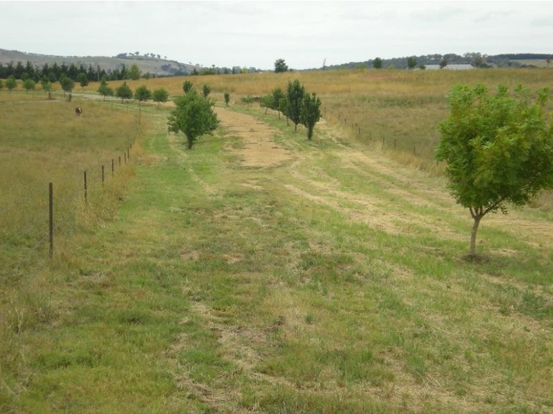 Lot 2, – Whiley Road, Millthorpe, Orange NSW 2800