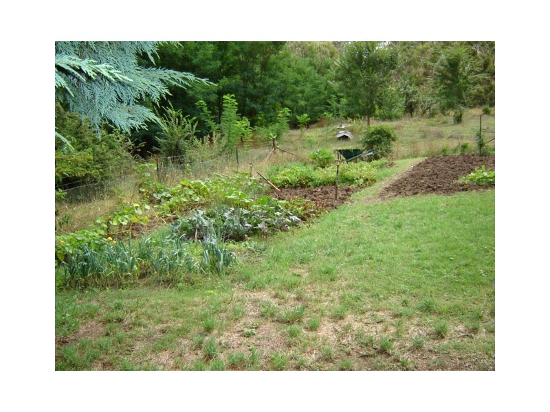 28 – 32 Icely Street, Carcoar NSW 2791