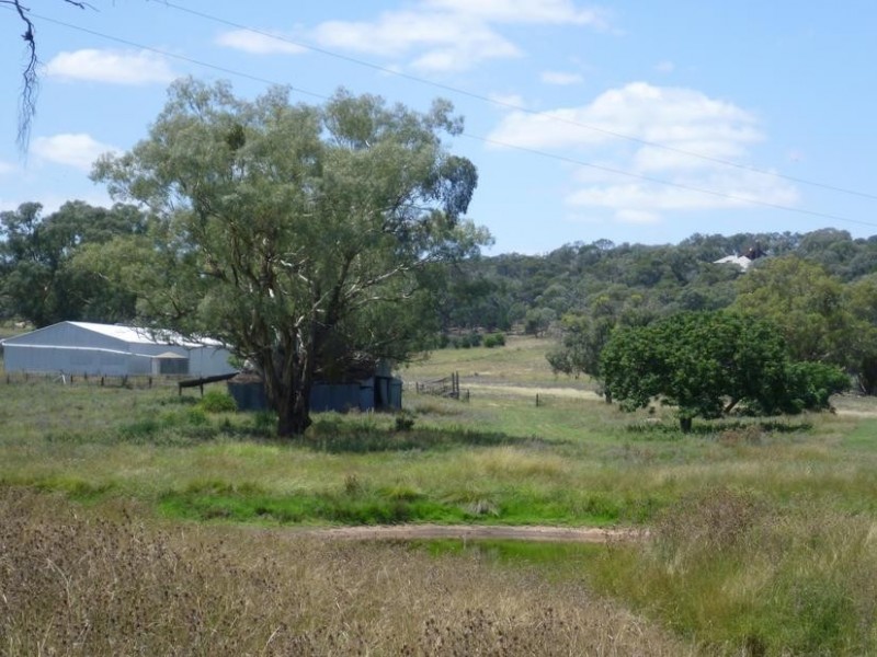 940 Manildra road, Molong NSW 2866
