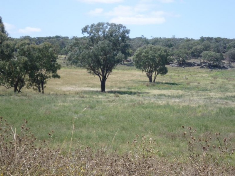 940 Manildra road, Molong NSW 2866