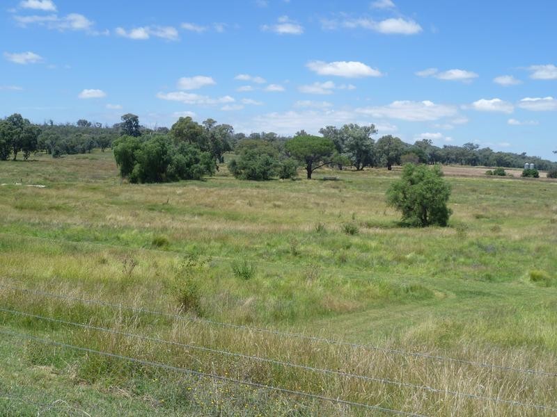 940 Manildra road, Molong NSW 2866