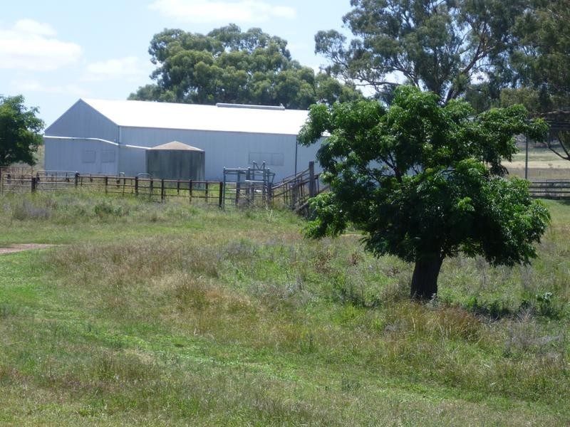 940 Manildra road, Molong NSW 2866