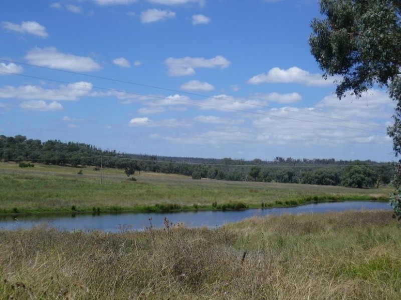 940 Manildra road, Molong NSW 2866