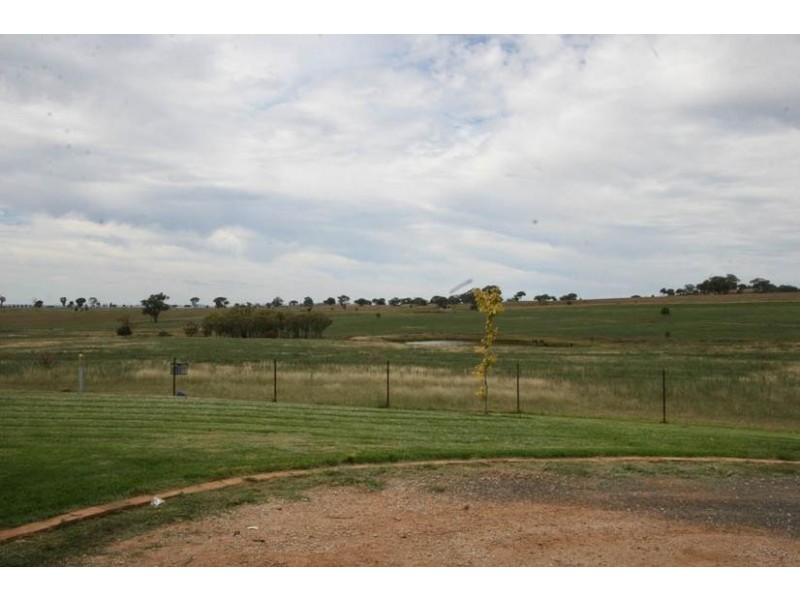 759 Peabody Road, Molong NSW 2866