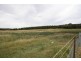 759 Peabody Road, Molong NSW 2866