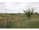 759 Peabody Road, Molong NSW 2866