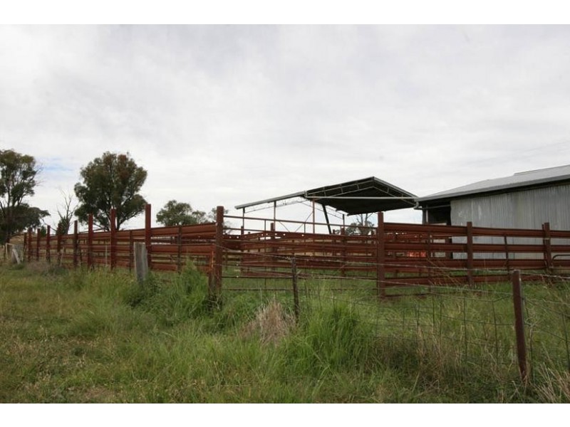 759 Peabody Road, Molong NSW 2866