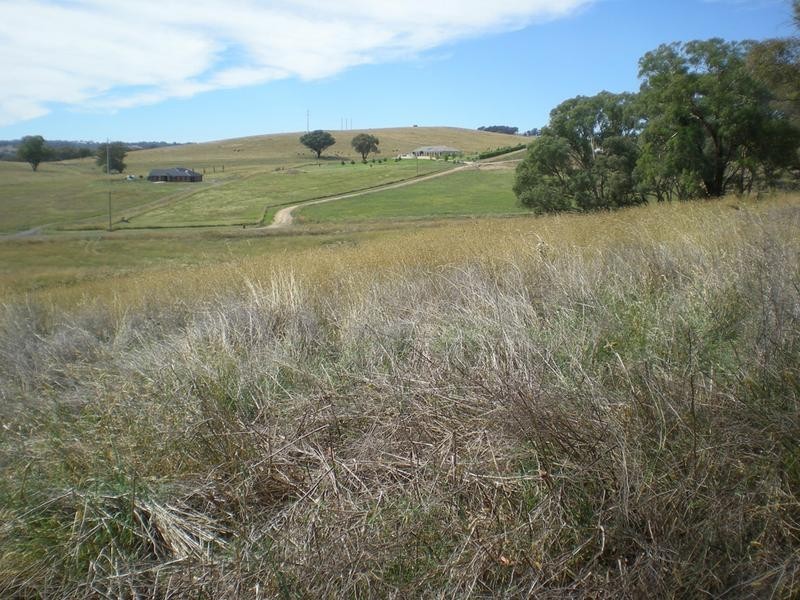 Lot 4, – Madelines Lane, Orange NSW 2800