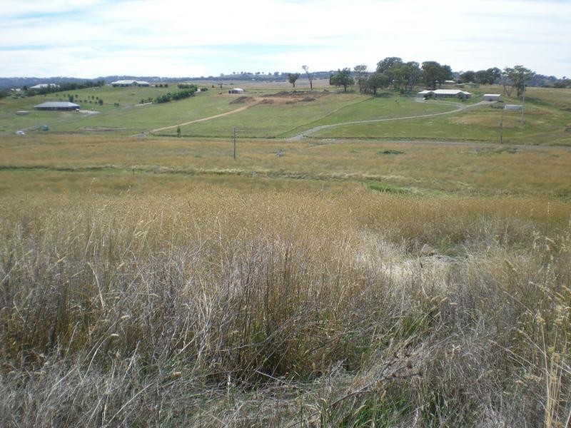 Lot 4, – Madelines Lane, Orange NSW 2800