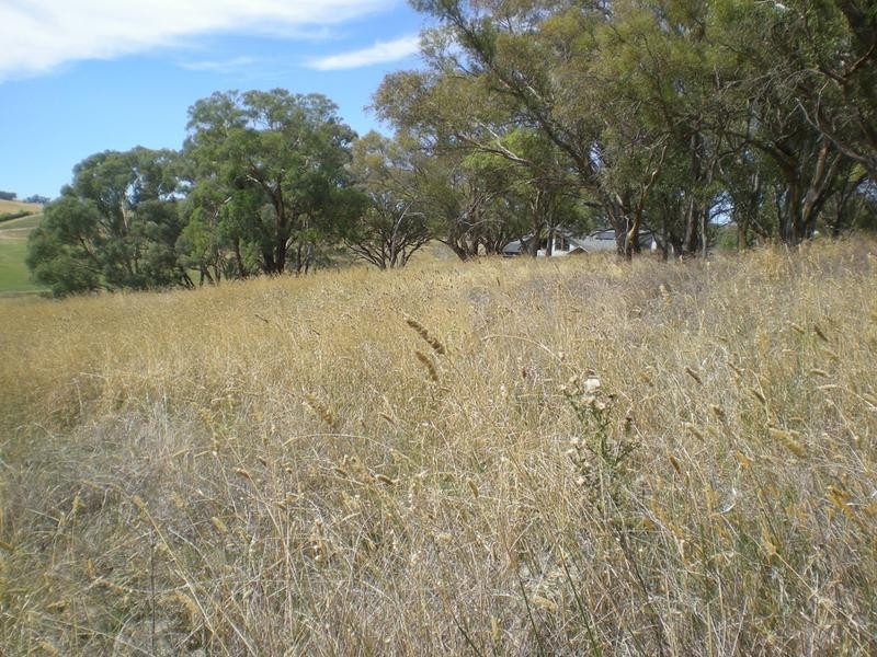 Lot 4, – Madelines Lane, Orange NSW 2800