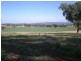 167 Sussex Lane, Cudal NSW 2864