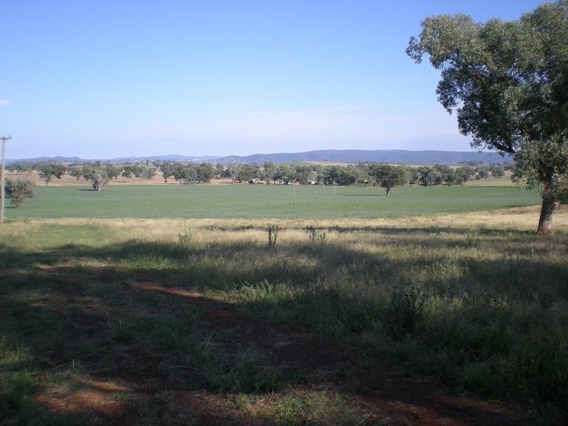 167 Sussex Lane, Cudal NSW 2864