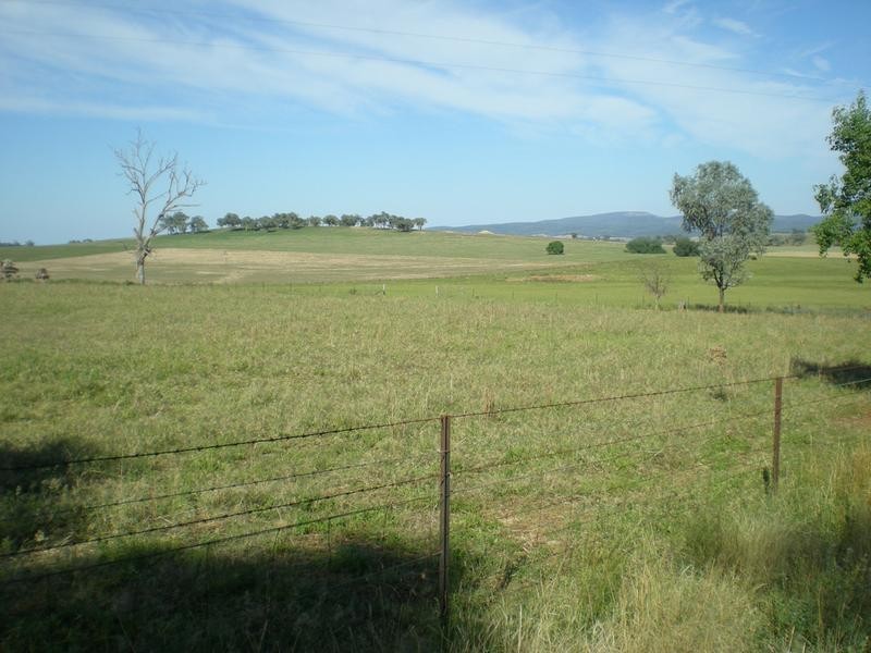 167 Sussex Lane, Cudal NSW 2864