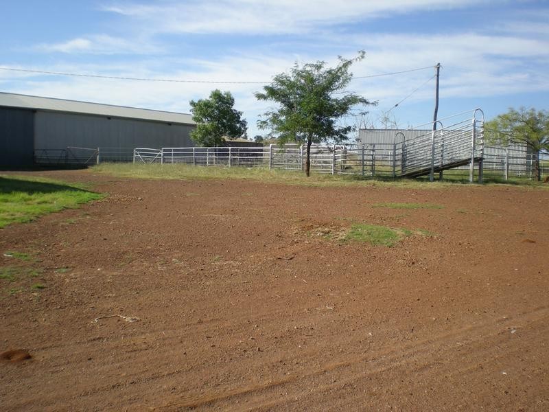 167 Sussex Lane, Cudal NSW 2864