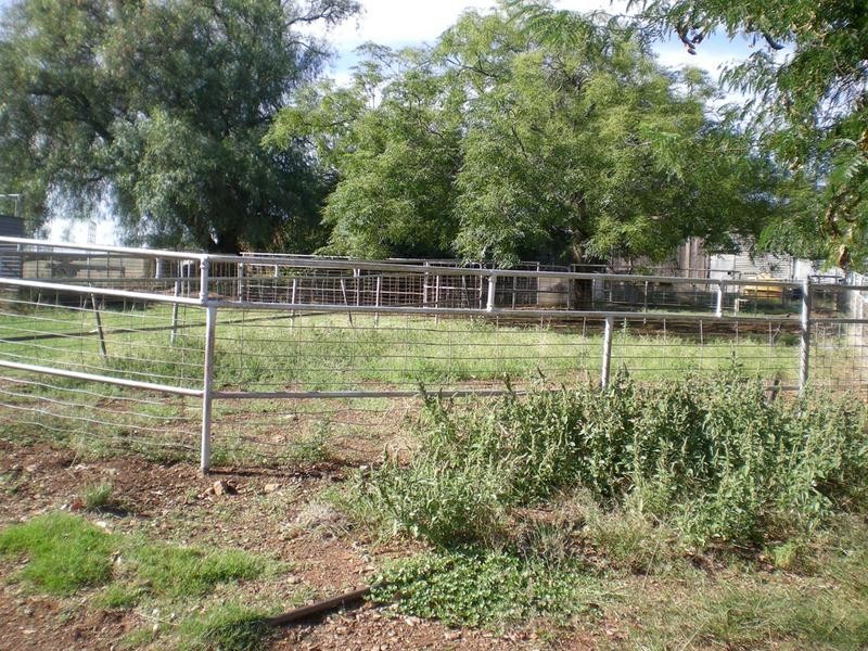 167 Sussex Lane, Cudal NSW 2864