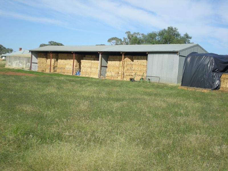 167 Sussex Lane, Cudal NSW 2864