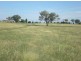 167 Sussex Lane, Cudal NSW 2864
