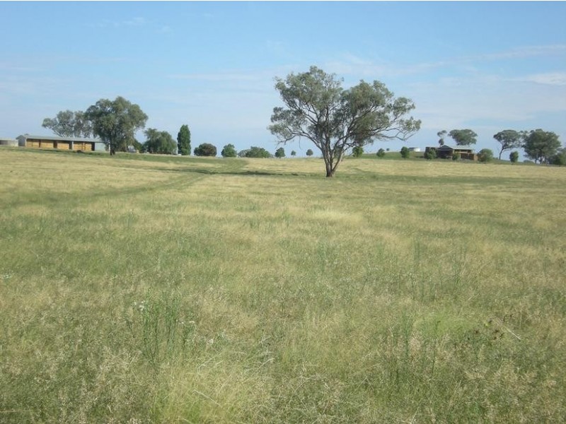 167 Sussex Lane, Cudal NSW 2864